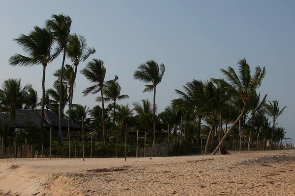 Louer un vélo électrique à lyon : des solutions sur mesure !